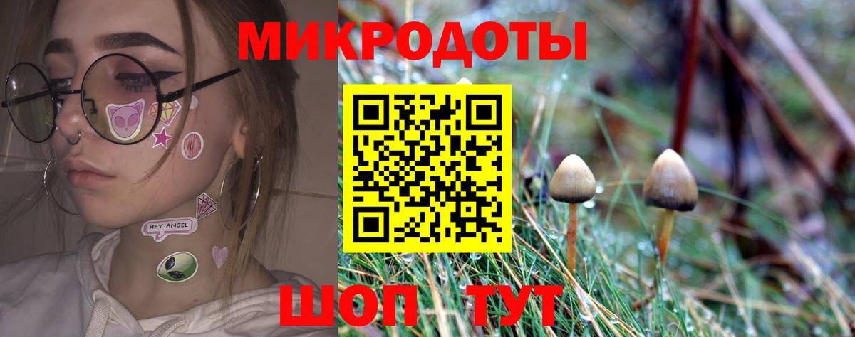 Галлюциногенные грибы Magic Shrooms  Вход с VPN  Вичуга  Галлюциногенные грибы Psilocybe 